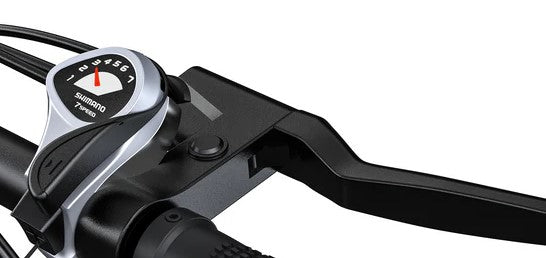 ENGWE P1 | Bicicletta Elettrica | Versatile | Motore 250W | 36V 13AH | 25km/h | GARANZIA ITALIANA